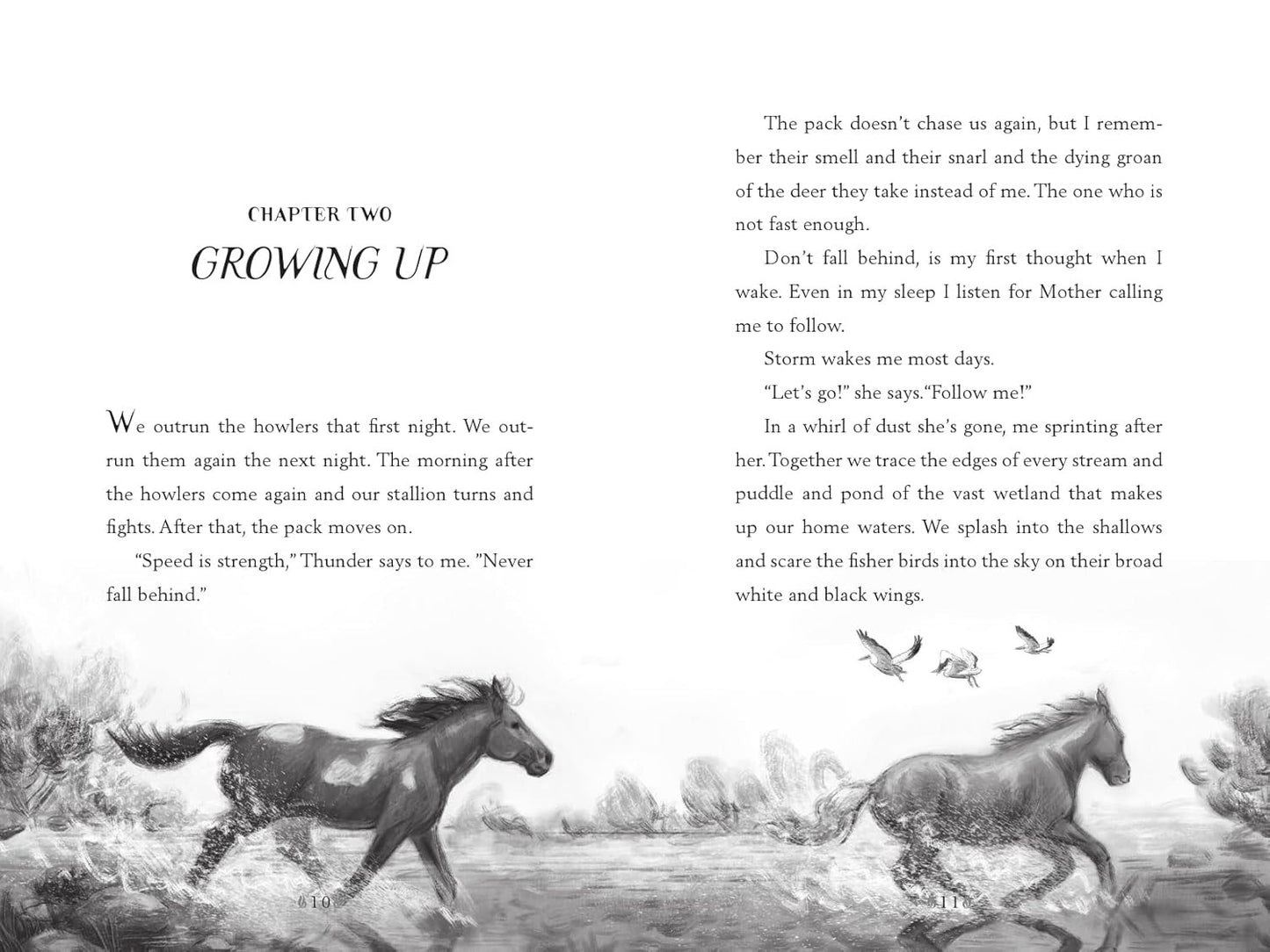 A Horse Named Sky (A Voice of the Wilderness Novel)