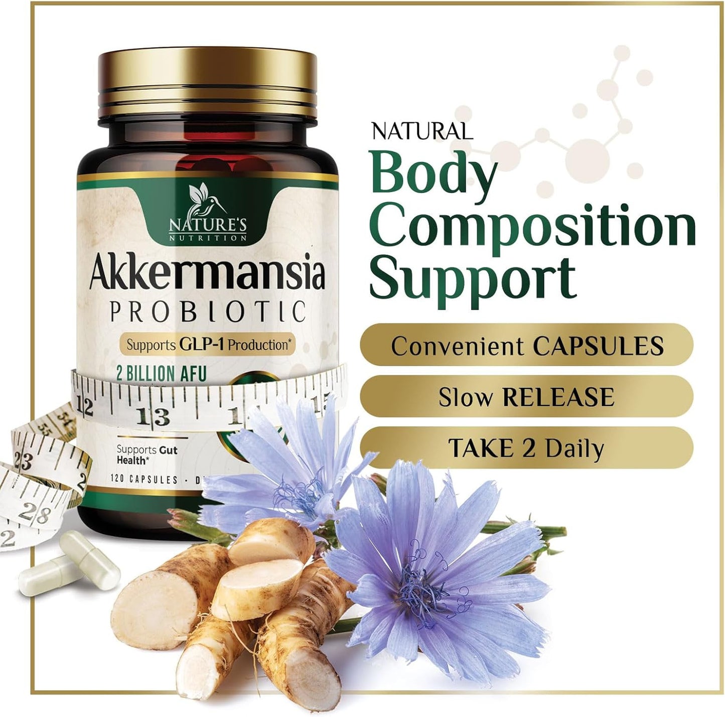 Akkermansia Probiotic Supplement for Women & Men, Akkermansia Muciniphila GLP 1