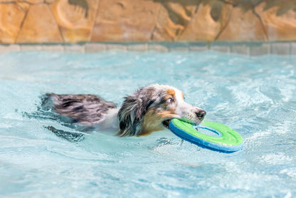 Zipflight Flying Disc Dog Toy, Medium (8.5"), Orange and Blue
