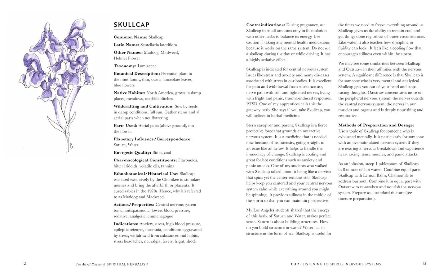 The Art & Practice of Spiritual Herbalism: Transform, Heal, and Remember with th