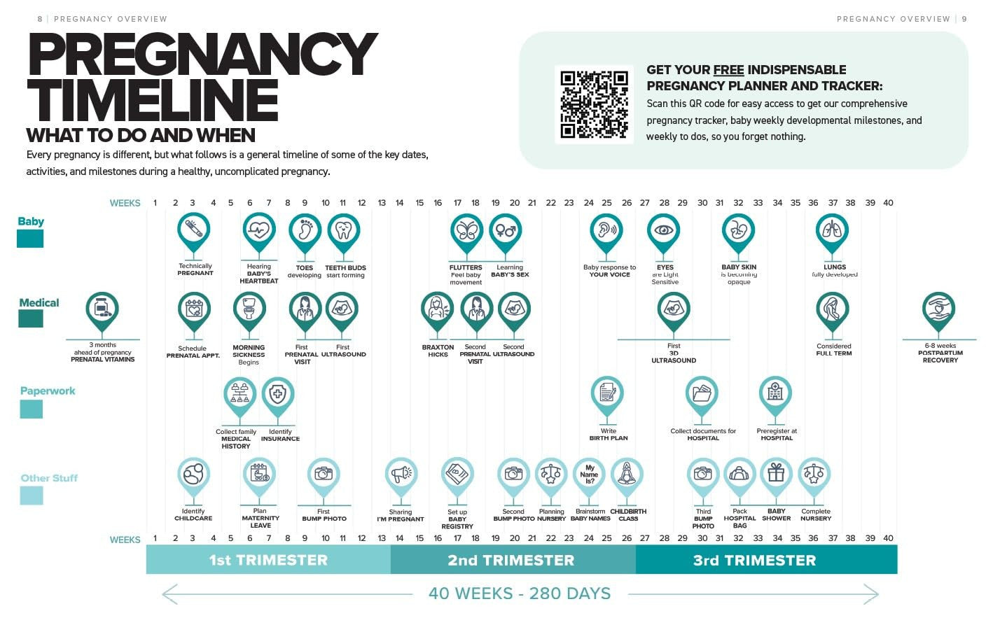 The Simplest Pregnancy Book in the World: the Illustrated, Grab-And-Do Guide for
