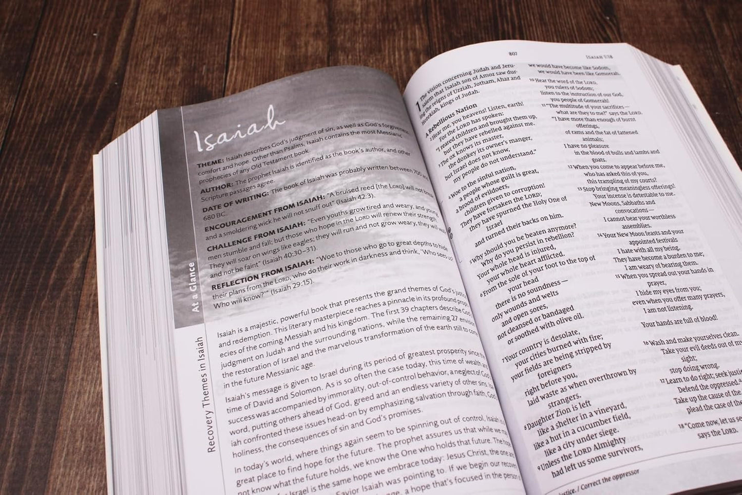 NIV, Celebrate Recovery Study Bible, Paperback, Comfort Print