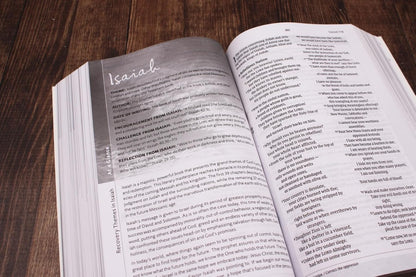 NIV, Celebrate Recovery Study Bible, Paperback, Comfort Print