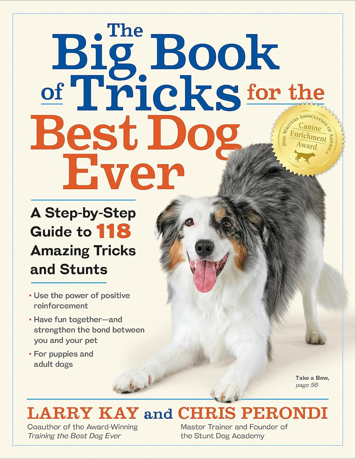 The Big Book of Tricks for the Best Dog Ever: a Step-By-Step Guide to 118 Amazin