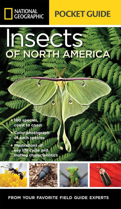 National Geographic Pocket Guide to Insects of North America: from Your Favorite