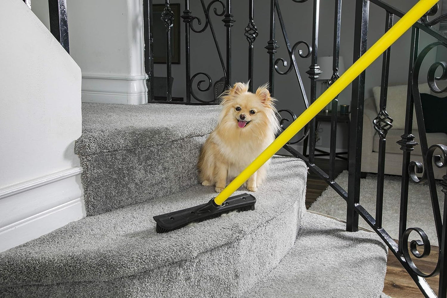 Original Pet Hair Rubber Broom with Squeegee, with 58" Telescopic Handle for Car