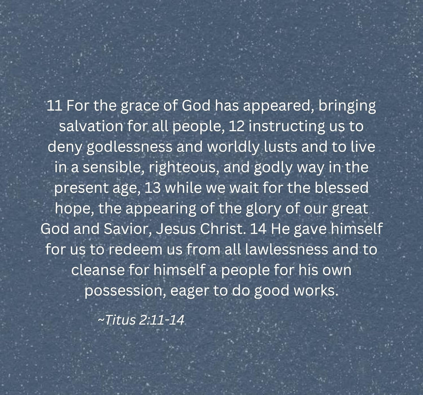 The Titus Ten - Bible Study Book with Video Access: Foundations for Godly Manhoo