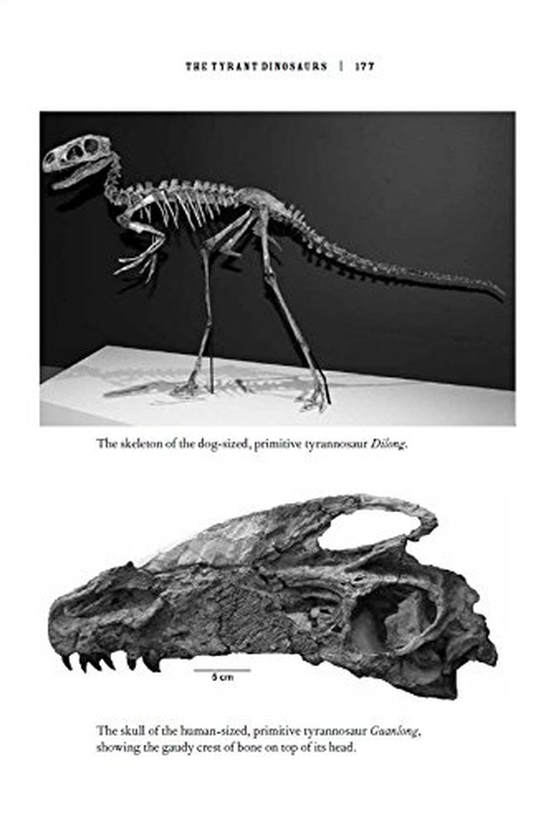 The Rise and Fall of the Dinosaurs: a New History of Their Lost World