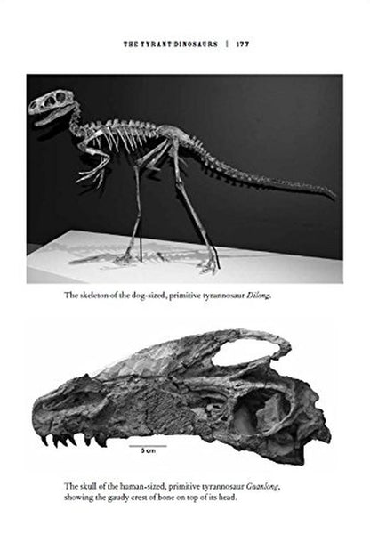 The Rise and Fall of the Dinosaurs: a New History of Their Lost World