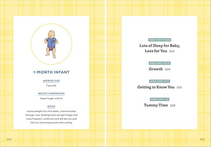 We'Re Pregnant! the First Time Dad'S Pregnancy Handbook