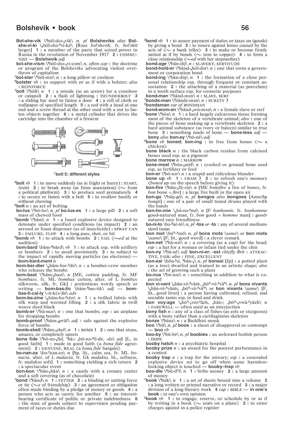 The Merriam-Webster Dictionary, Trade Paperback, Newest Edition