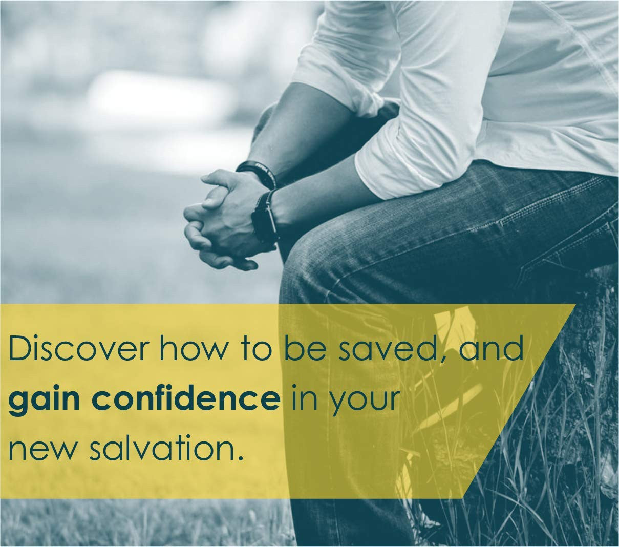 New Believer'S Bible NLT (Softcover): First Steps for New Christians