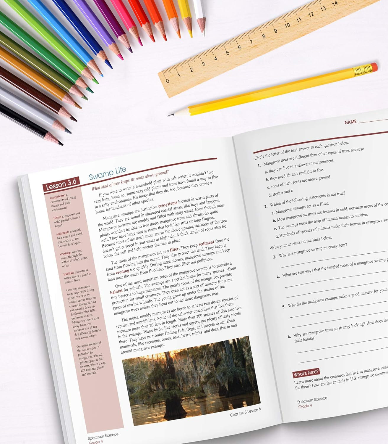 Spectrum Science 4Th Grade Workbooks, Focused Practice to Support Science Litera