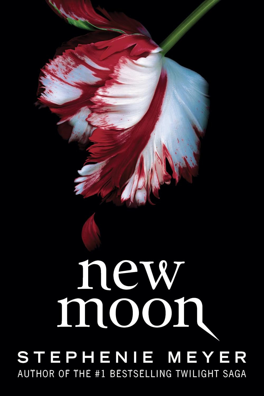 New Moon (The Twilight Saga, 2)