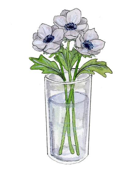 Watercolour Lessons: How to Paint and Unwind in 20 Tutorials (How to Paint with