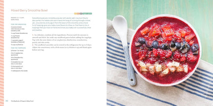 The Big Book of Organic Baby Food: Baby Purées, Finger Foods, and Toddler Meals