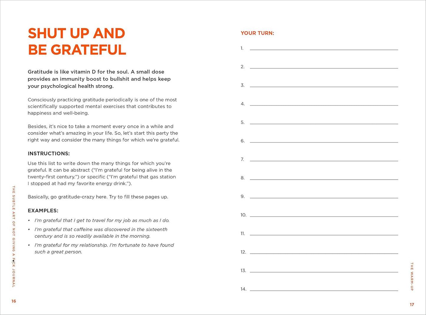 The Subtle Art of Not Giving a F*Ck Journal