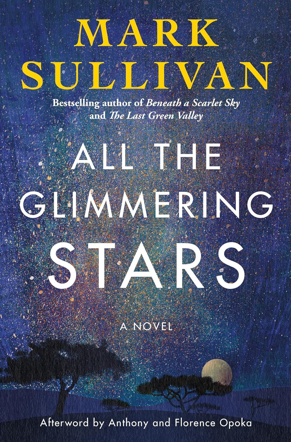 All the Glimmering Stars: a Novel
