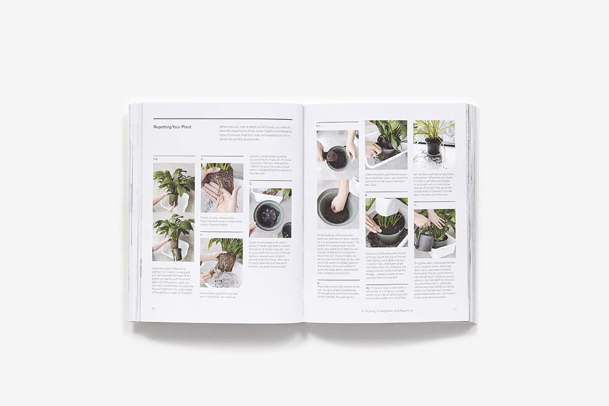 The New Plant Parent: Develop Your Green Thumb and Care for Your House-Plant Fam