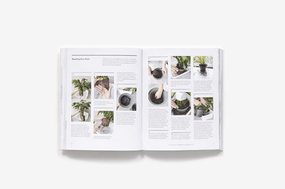 The New Plant Parent: Develop Your Green Thumb and Care for Your House-Plant Fam