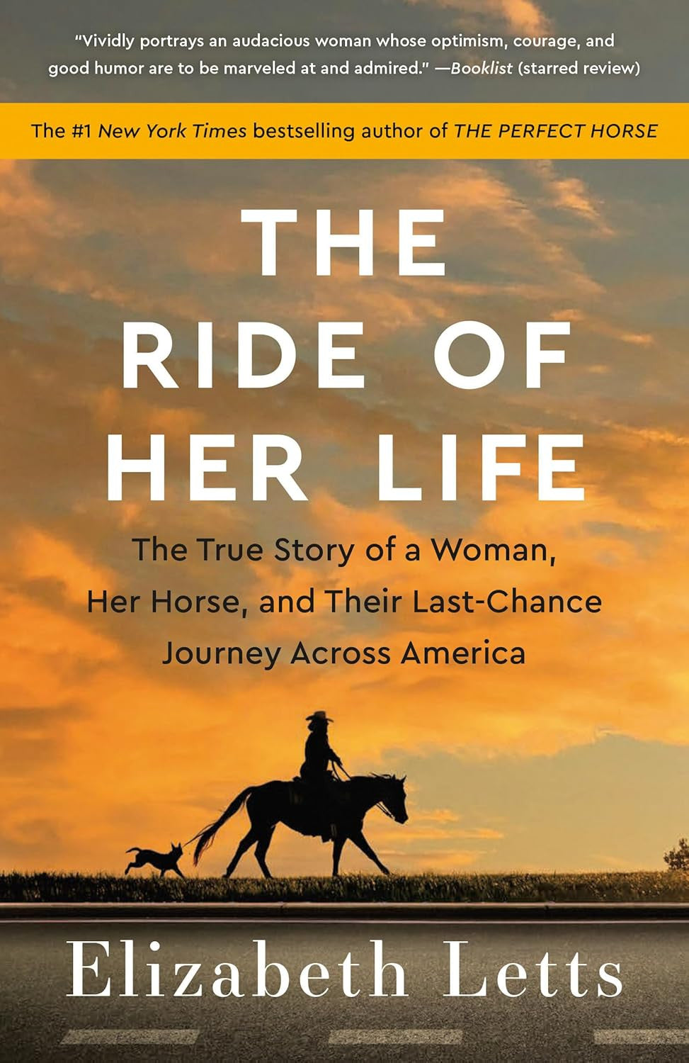 The Ride of Her Life: the True Story of a Woman, Her Horse, and Their Last-Chanc