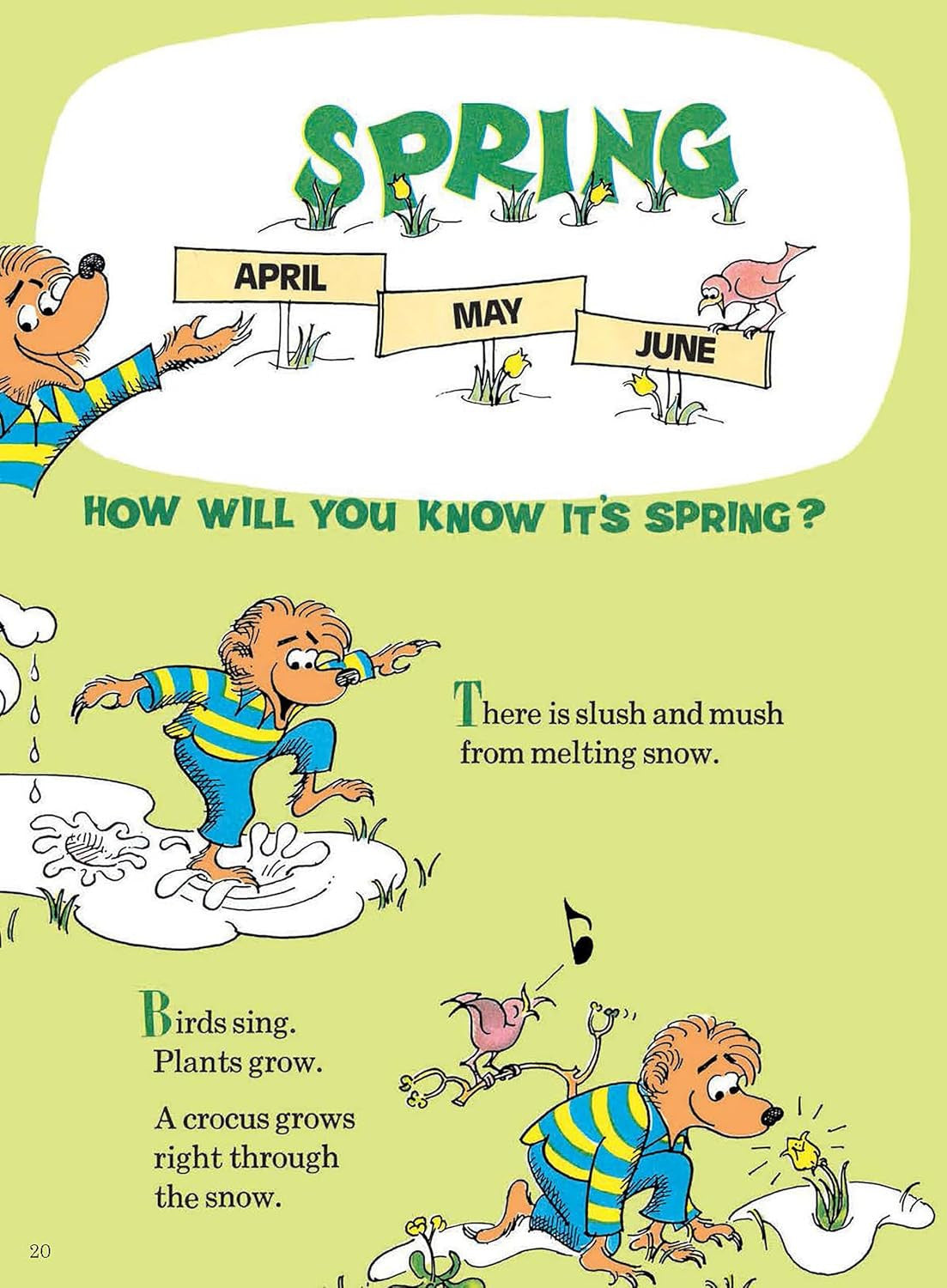 The Berenstain Bears' Big Book of Science and Nature (Dover Science for Kids)