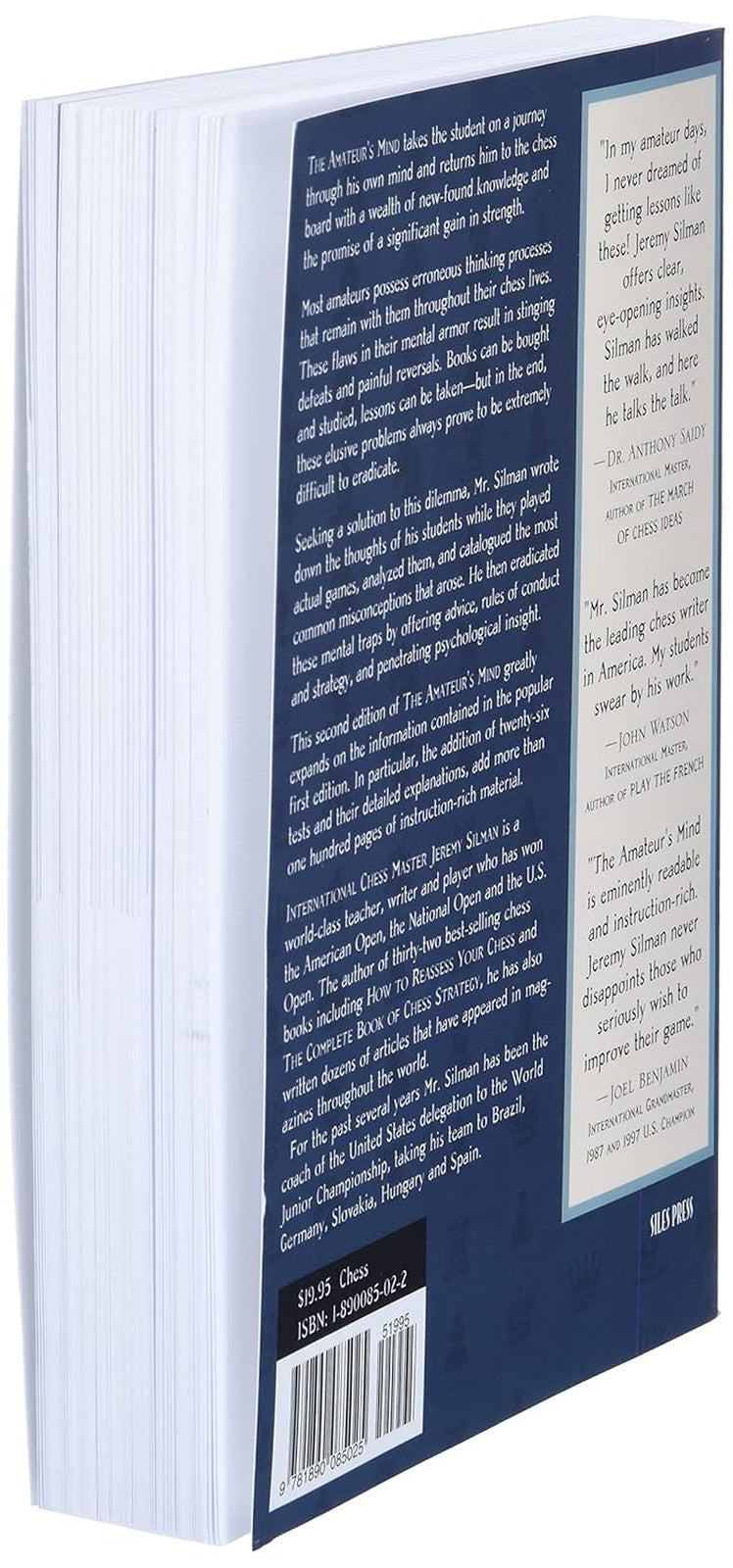 The Amateur'S Mind: Turning Chess Misconceptions into Chess Mastery