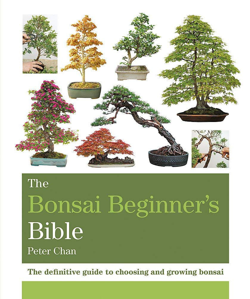 The Bonsai Beginner'S Bible