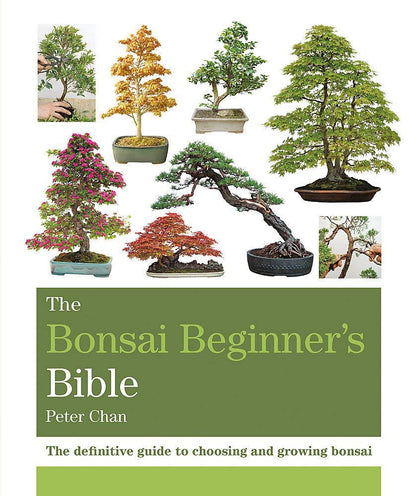 The Bonsai Beginner'S Bible