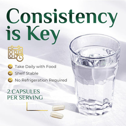 Akkermansia Probiotic Supplement for Women & Men, Akkermansia Muciniphila GLP 1