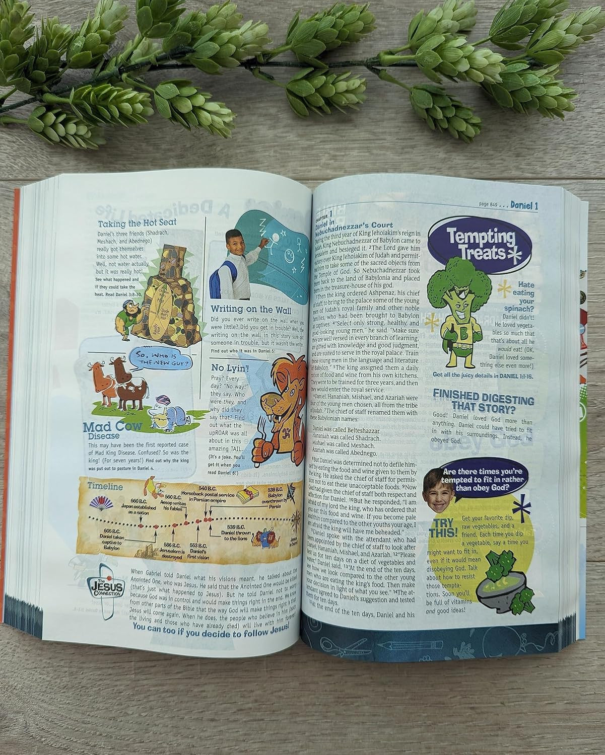 NLT Hands-On Bible for Kids, 3Rd Edition (Softcover): Full-Color, Family Activit