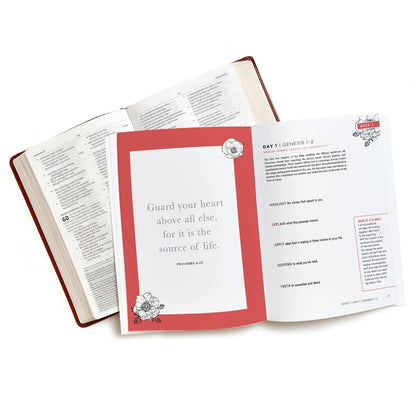 The Bible in a Year - Bible Study Book: a Guided Scripture Reading Journey for W