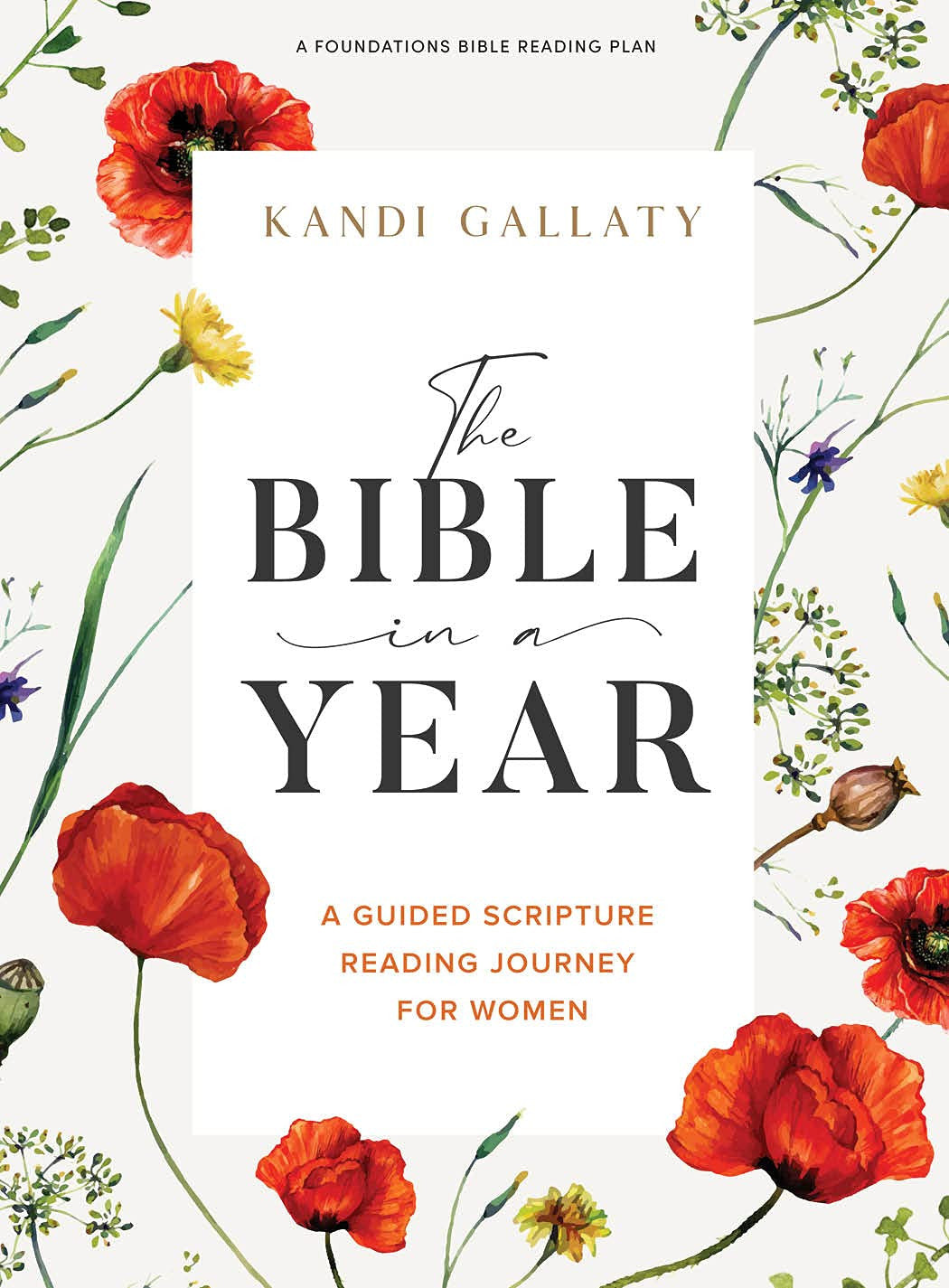 The Bible in a Year - Bible Study Book: a Guided Scripture Reading Journey for W