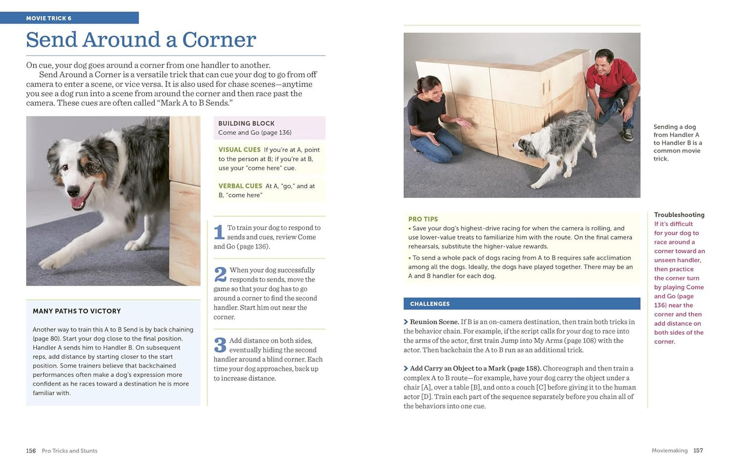 The Big Book of Tricks for the Best Dog Ever: a Step-By-Step Guide to 118 Amazin