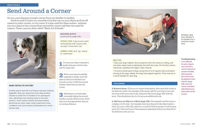 The Big Book of Tricks for the Best Dog Ever: a Step-By-Step Guide to 118 Amazin