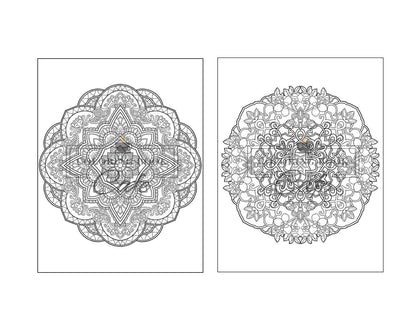 125 Mandalas: an Adult Coloring Book Featuring 125 of the World’S Most Beautiful