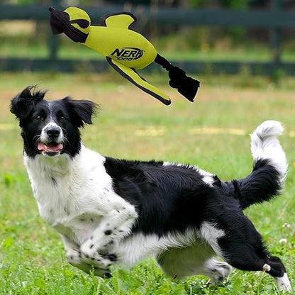 Trackshot Launching Duck Dog Toy, 16.5 Dog Fetch Toy for Medium and Large Breeds