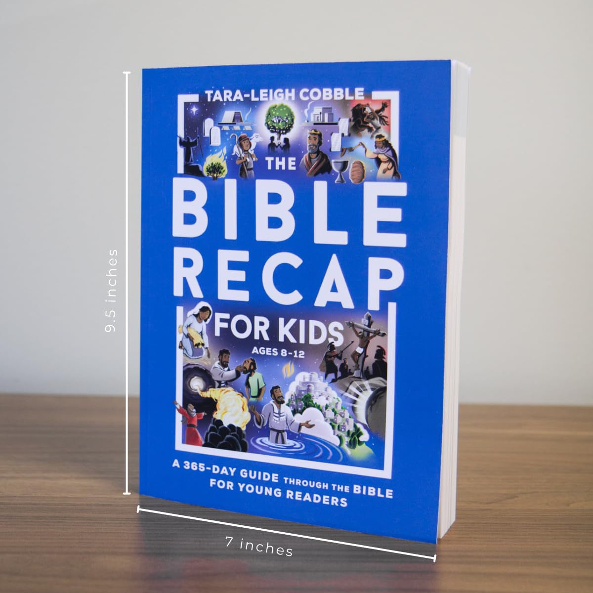 The Bible Recap for Kids: a 365-Day Guide through the Bible for Young Readers Ag
