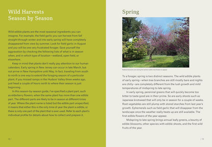 Northeast Foraging: 120 Wild and Flavorful Edibles from Beach Plums to Wineberri