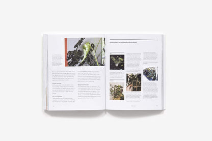 The New Plant Parent: Develop Your Green Thumb and Care for Your House-Plant Fam