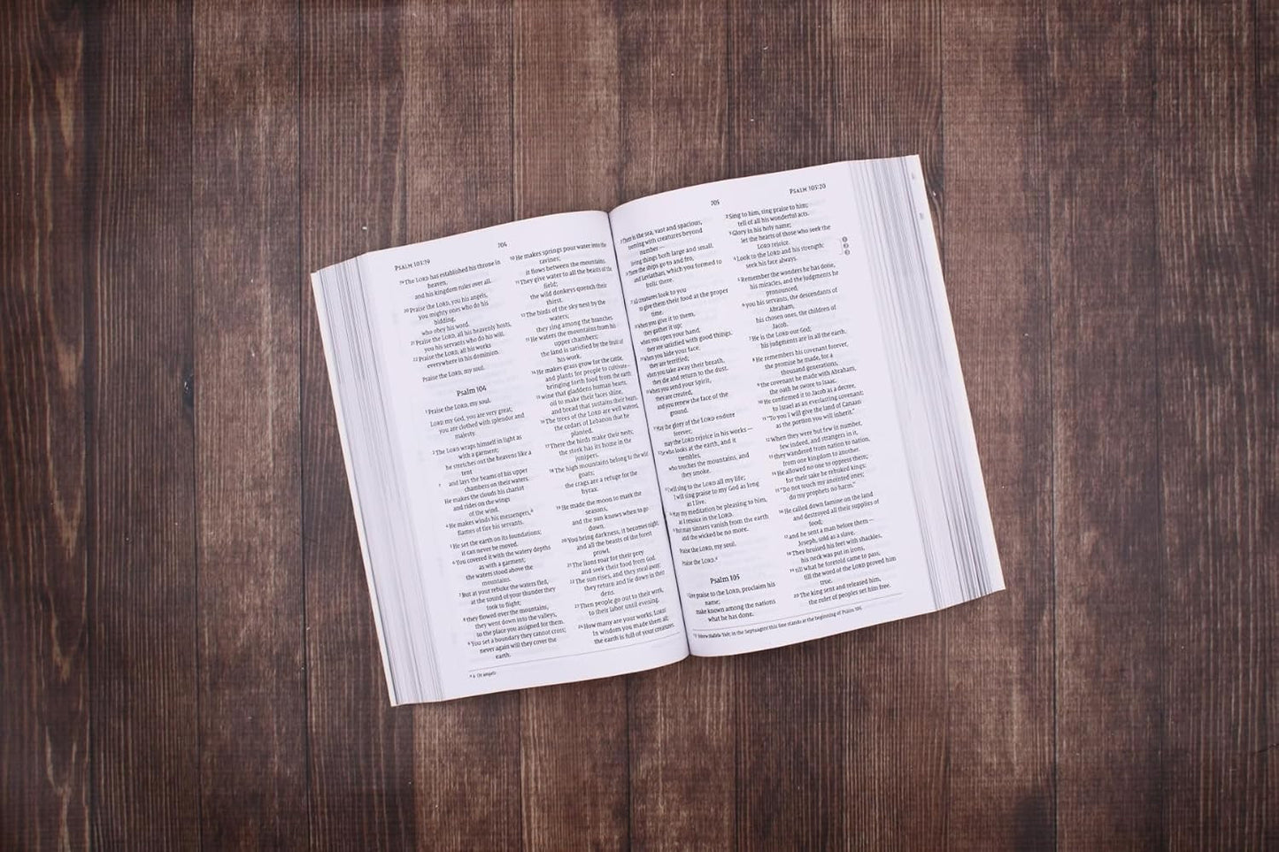 NIV, Celebrate Recovery Study Bible, Paperback, Comfort Print