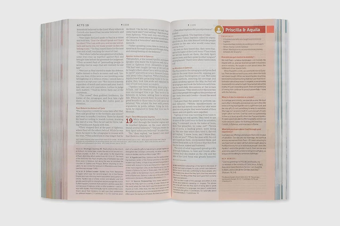 NLT Student Life Application Study Bible, Filament Enabled (Softcover, Red Lette