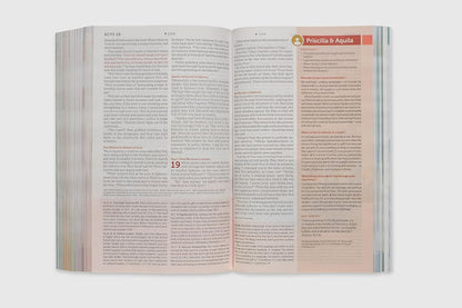 NLT Student Life Application Study Bible, Filament Enabled (Softcover, Red Lette