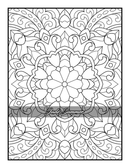100 Amazing Patterns: an Adult Coloring Book with Fun, Easy, and Relaxing Colori