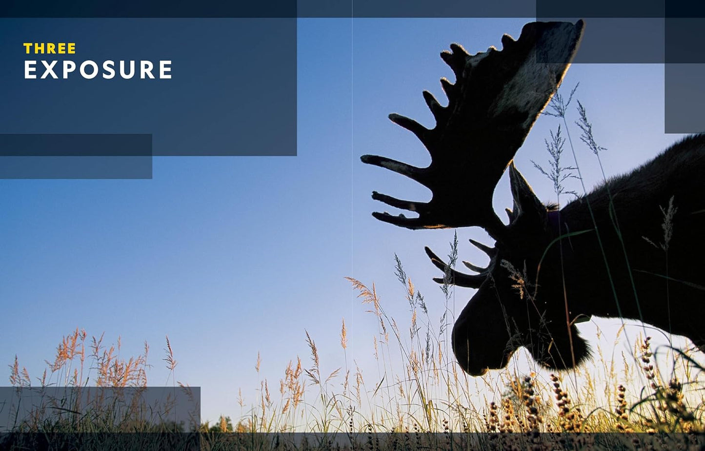 National Geographic Photo Basics: the Ultimate Beginner'S Guide to Great Photogr