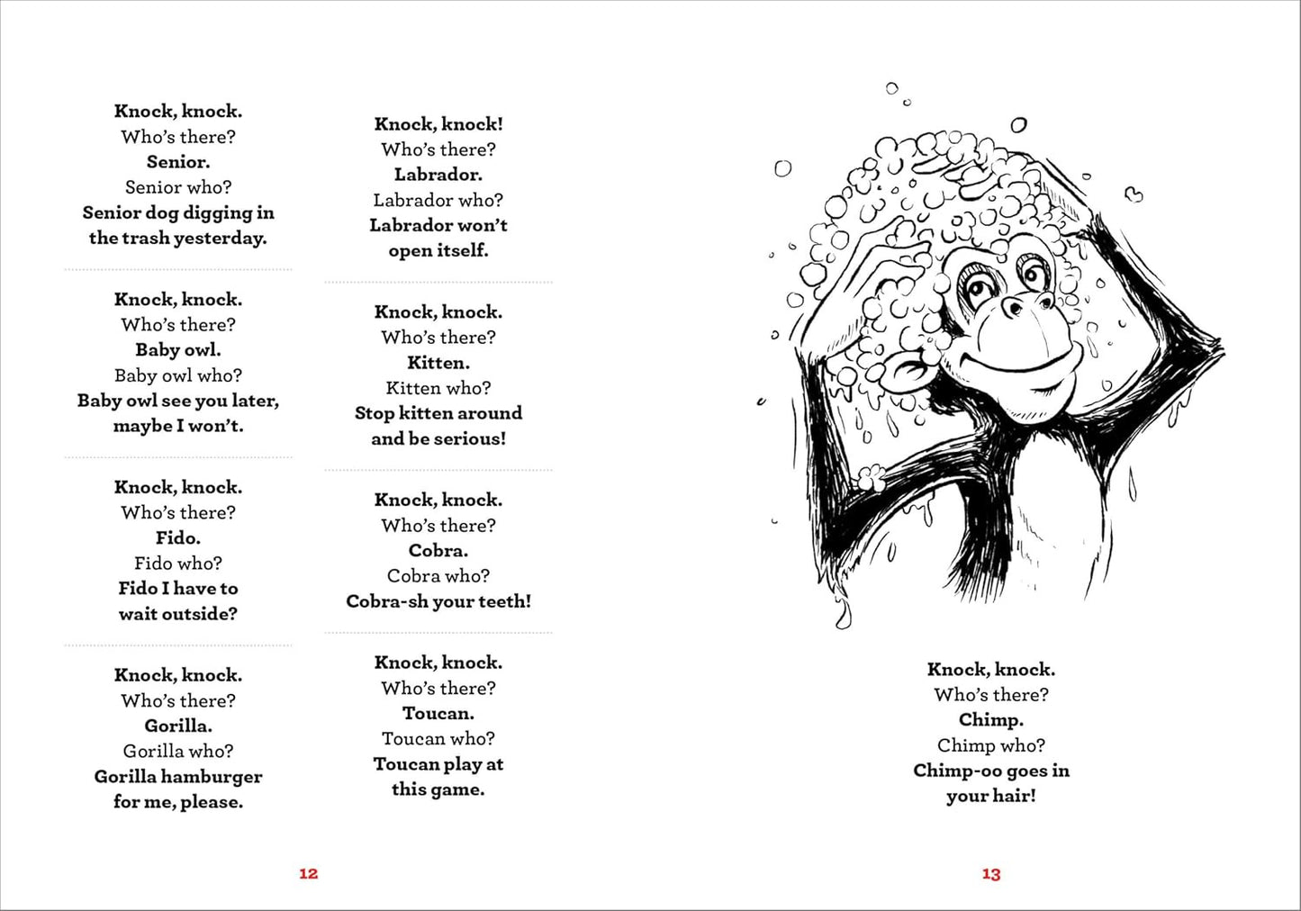 A Whole Lotta Knock-Knock Jokes: Squeaky-Clean Family Fun (Silly Jokes)