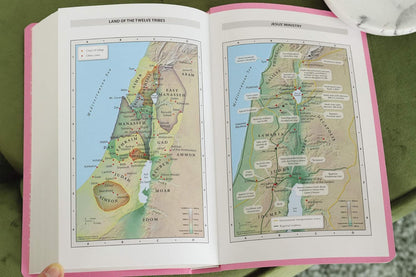 NIV, Gift and Award Bible, Leather-Look, Pink, Red Letter, Comfort Print