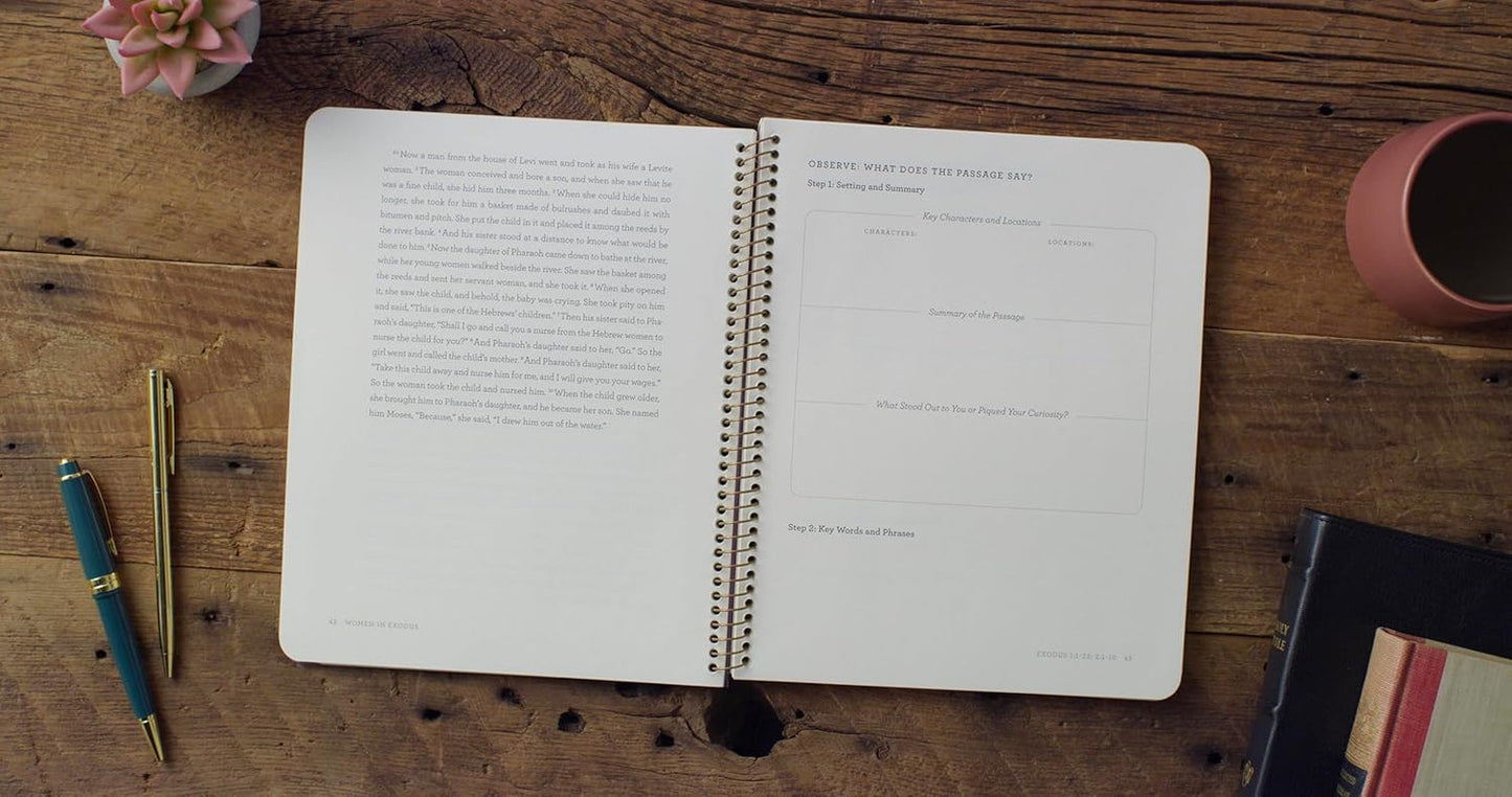 The Stories of Women: an 8-Week Bible Study (Meet Me in the Bible)