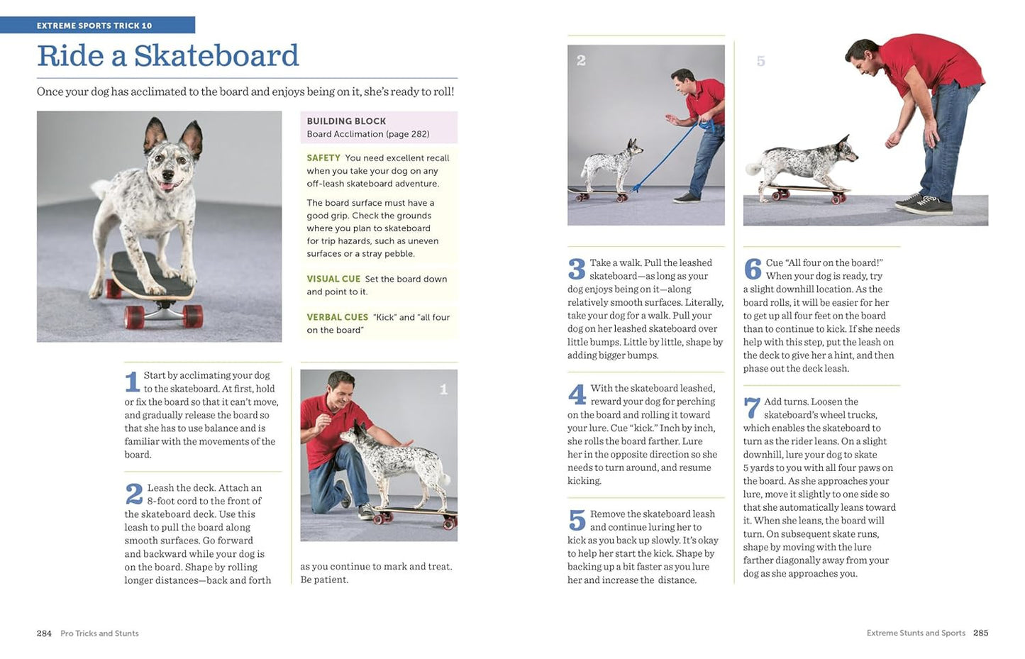 The Big Book of Tricks for the Best Dog Ever: a Step-By-Step Guide to 118 Amazin