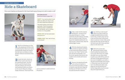 The Big Book of Tricks for the Best Dog Ever: a Step-By-Step Guide to 118 Amazin